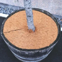 New 3 Coconut Mulching-skivor 37 cm Kokosfibermatta Kokosfiber Växtskyddsmatta Kokosnöt Komposttäckning