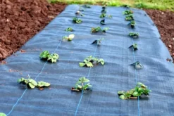 Hot 32 m² Ogräsbekämpningsmembran Ogräsfoder Mulchliner 100 g 2 m bred Markduk & Fiberduk