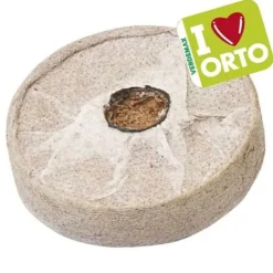 Clearance 12 PASTILLERAS FIBRA DE COCO CON TELA 45XH10CM VERDEMAX PLANTAS FLORES SEMILLAS Kit För Växt- & Örtplantering