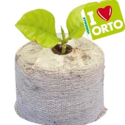 Clearance 12 PASTILLERAS FIBRA DE COCO CON TELA 45XH10CM VERDEMAX PLANTAS FLORES SEMILLAS Kit För Växt- & Örtplantering