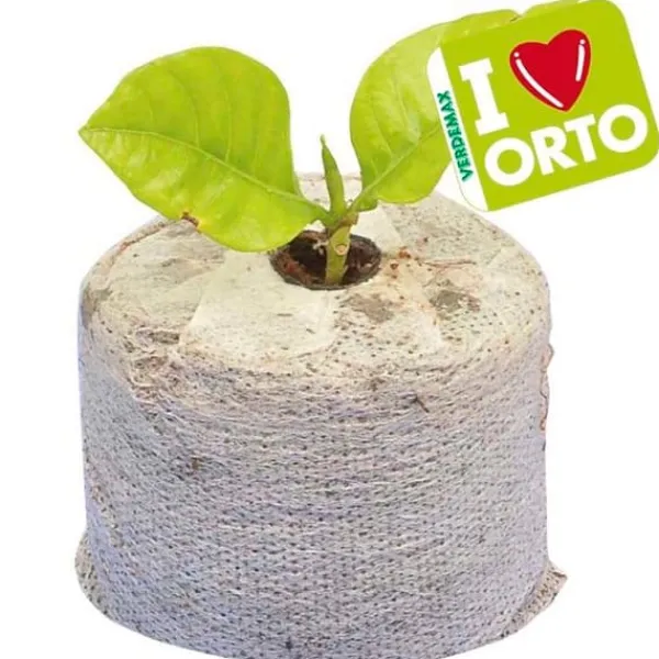 Clearance 12 PASTILLERAS FIBRA DE COCO CON TELA 45XH10CM VERDEMAX PLANTAS FLORES SEMILLAS Kit För Växt- & Örtplantering