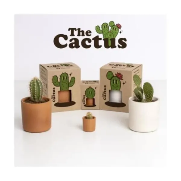 Hot BABY Kaktus Kit För Växt- & Örtplantering