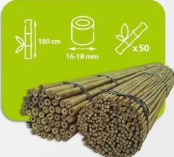 Clearance Bambupålar, bambustänger 180 cm 16/18 mm 50 st/ Krukor & Växtbehållare