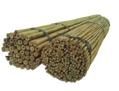 Bambupålar, bambustänger 194 cm 16/18 mm 100 st/