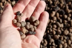 Sale BIOVITA GARDENING EXPANDED GRAPE idealisk för dränering 8-16MM 5L Jord & Sand