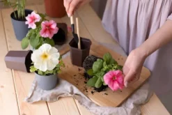 BIOVITA UNIVERSAL BLOMSTERJORD 5 LITER MED GÖDSEL