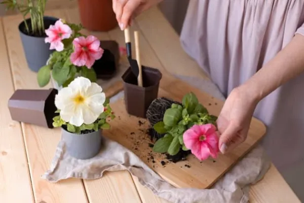 BIOVITA UNIVERSAL BLOMSTERJORD 80 LITER MED GÖDSEL