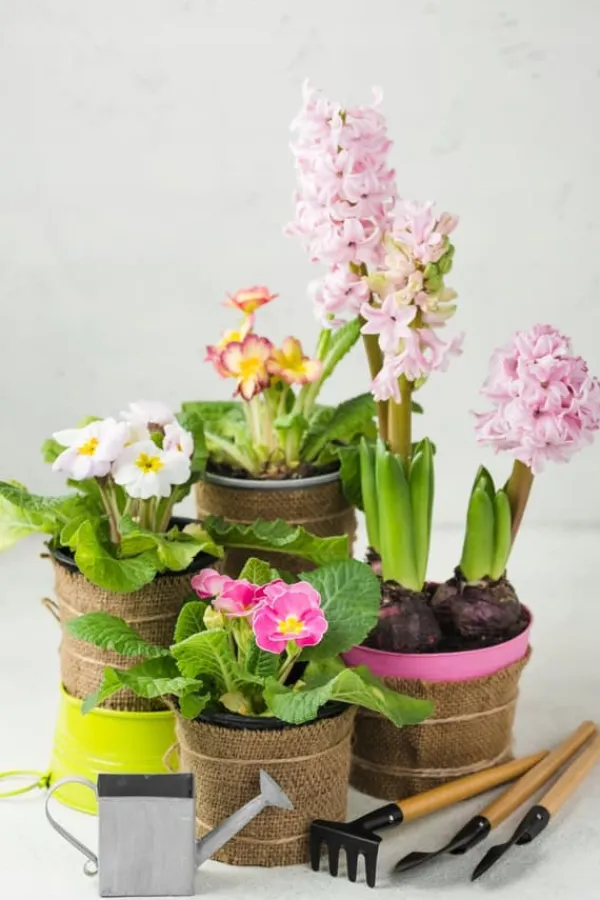 BIOVITA UNIVERSAL BLOMSTERJORD 10 LITER MED GÖDSEL