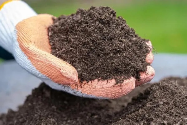 BIOVITA UNIVERSAL BLOMSTERJORD 10 LITER MED GÖDSEL