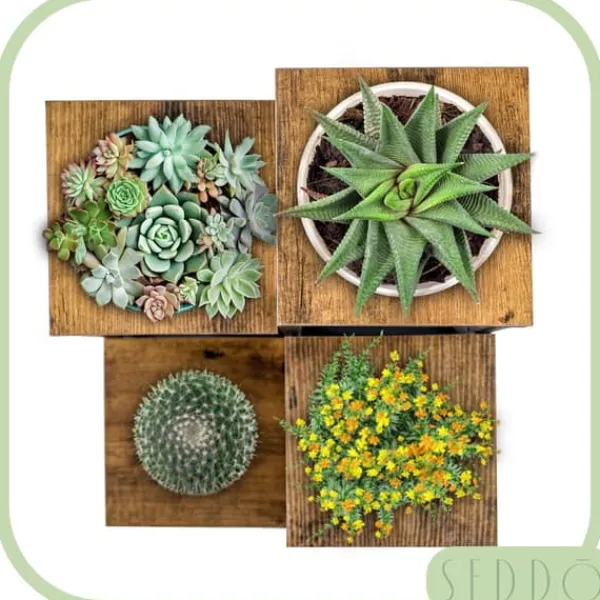 Online Blomställning, hylla för blommor, växter, krukor, fristående, 4 hyllor, loft Växtställ