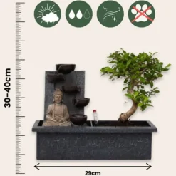 Bonsaiträd - Set om 2 - Bonsai - Höjd 25-35cm - ⌀29cm