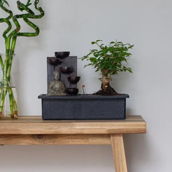Bonsaiträd - Set om 2 - Bonsai - Höjd 25-35cm - ⌀29cm