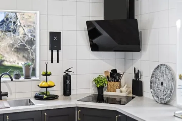Brandsläckare NEXA 2kg pulver svart 13A