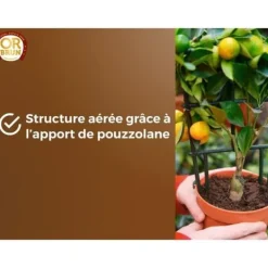 Outlet Citrus- och medelhavsjord - GULD BRUN - OBRTAG20N - 20 L Jord & Sand