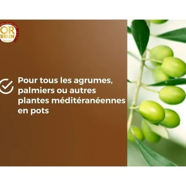 Clearance Citrus- och medelhavsjord - BRUN GULD - OBRTAGR6U - 6L - Olivträd, palmer och cycas Jord & Sand