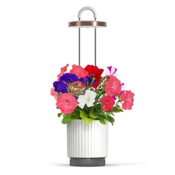 Discount Click Grow - HydroVase - White Krukor & Växtbehållare