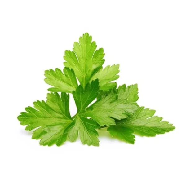 Click & Grow - Smart Garden Refill 3-pack - Koriander/Cilantro (SGR45X3)