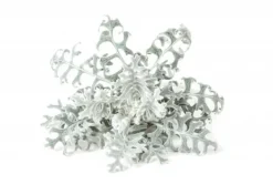 Best Click and Grow - Smart Garden Refill 3-pack Dusty Miller Kit För Växt- & Örtplantering