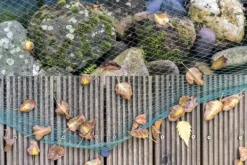 Outlet Dammnät 7 m x 16 m Lövnät Nät Lövskyddsnät robust Fontäner & Dammar