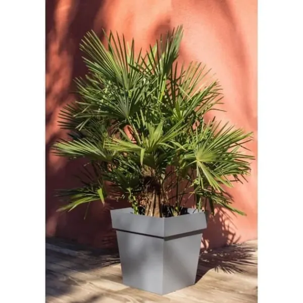 Outlet EDA Toscana fyrkantig kruka - 50 cm - 87 L - Antracitgrå Krukor & Växtbehållare