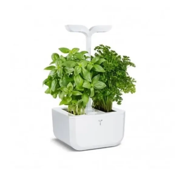 Clearance Ekonomisk köksträdgård - RIKTIGT - Exky Classic vit + 2 tackor Kit För Växt- & Örtplantering