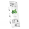 EMSA Click & Grow, Pepparmynta