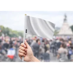 Best Flagga - Moldavien - Mini Flagga - 30 x 45 cm - Polyester - Fram/Baksida Flaggor & Vindstrutar