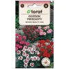 Sale Frö till fjädernejlika Spring Beauty Mix – Doftande och långblommande perenn Fröer & Lökar