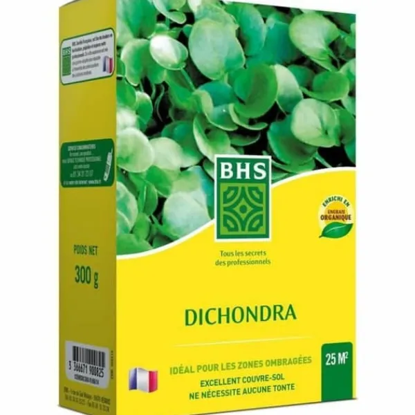 Frön BHS Dichondra