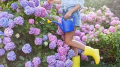 Garden Start Granulerad hortensia gödselmedel 2kg Gödningsmedel