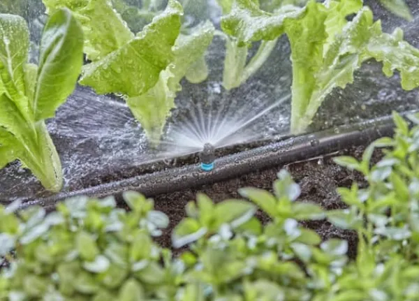 Best Micro droppsystem bevattningsrör 1/2"" 50M 1347-29 Bevattning