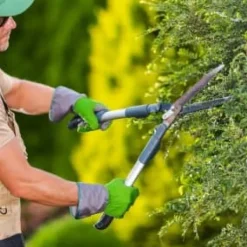 Best Gödsel för Thujas, Arborvitaes, Barrträd, Garden Start 2kg Gödningsmedel