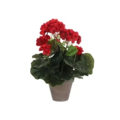 Online Géranium - MICA Dekorationer - 975161 - Stora röda blommor - Inomhus - Kök Krukväxter Inomhus