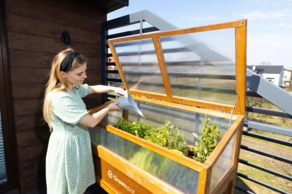 New Greenspot Miniväxthus med lock för balkong och terrass 80x45x120 cm - Växthus på träplattform, Upphöjd träbädd, Kallram med lock på höga ben, Mörk ros | CDON Växthus
