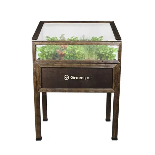 New Greenspot Miniväxthus med lock för balkong och terrass 80x45x120 cm - Växthus på träplattform, Upphöjd träbädd, Kallram med lock på höga ben, Mörk ros | CDON Växthus