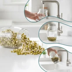 Clearance Groddningsburkar Set, 16,5x10 cm, Glas Kit För Växt- & Örtplantering