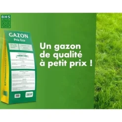 Hot Gräs - BHS - 1:a pris Eco - 10 kg Jord & Sand