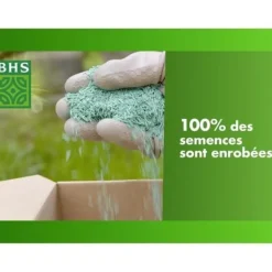 New Gräsmatta - BHS - Seaside Lawn 10 kg | Resistent mot vind, torka och salt | Vacker, attraktiv och robust sommargräsmatta. Jord & Sand