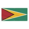 Guyana Flag Banner 6 öljetter 40x80cm i polyester