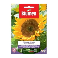 Discount HALV SOLSÄDESFRÖN ÄTBARA BLUMEN Fröer & Lökar
