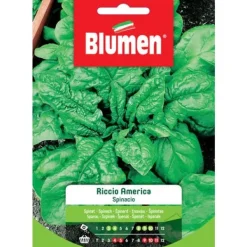 HALV SPINACH RICCI OCH AMERIKA BLOMMOR FRÖ TRÄDGÅRD Fröer & Lökar