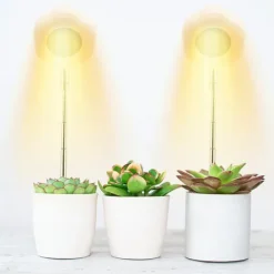 Best Hexagon Grow Lights för inomhusväxter Varm vit/vit Krukväxter Inomhus