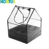 Best HORTUS Mini växthus med botten 65x65x85 cm (211-180) Växthus