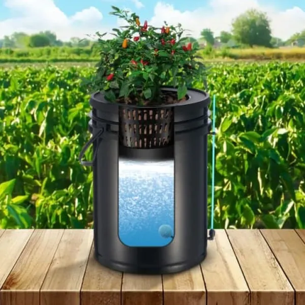 Hydroponiskt odlingssystem, 5-gallons djupvattenkultur, 30x30x38 cm, svart, PP-material