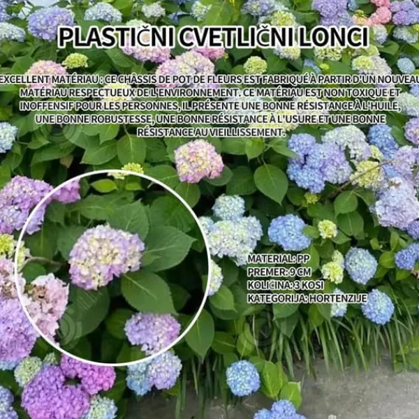 Online INN Hortensior 3st 9cm Lövfällande buske Perenn växt Hortensia Trädgård Hemmakontor Trädgårdsdekoration Bonsaiväxter Trädgårdsväxter