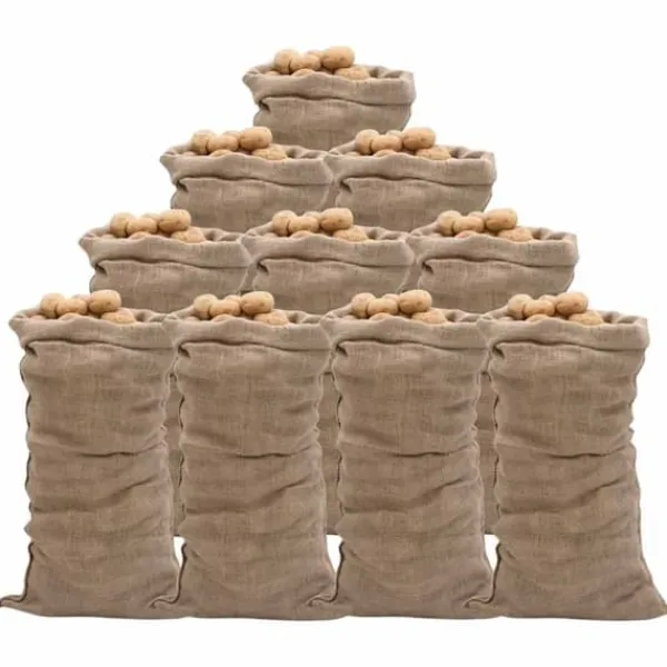 Clearance Jutesäckar 10 st 65x135 cm 100% jute 220 gsm Jord & Sand