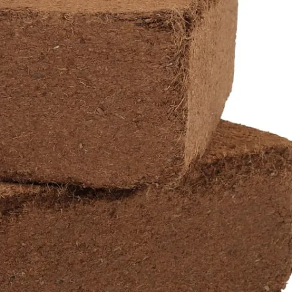 Kokosfiberblock för växttillväxt - Odlingsmedium | 2-pack | Totalvikt: 10 kg | Färg: Natur