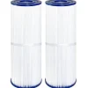 Lollanda 2-pack poolfilterpatroner – kompatibla med Unicel C-4326, Pleatco PRB25-IN, Filbur FC-2375, 25 kvadratfot filtreringsyta