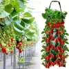 Discount OBOSOE Hängande Odlingspåse/Odlingsväska - 8-håls Vertikal Jordlös Odling, Perfekt för Jordgubbar Kit För Växt- & Örtplantering
