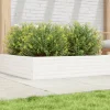 vidaXL Odlingslåda vit 100x100x23 cm massiv furu